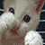 :iconnickdhhs: