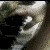 :iconnickhush: