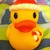 :iconnickiblazer: