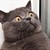 :iconnickoxo: