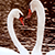 :iconnicksil: