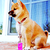 :iconnickyoftherainbow99: