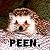 :iconNicolaeAnsel: