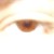:iconnicolas-de-lefent: