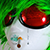:iconnicolaskern: