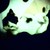 :iconnicole-251: