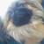 :iconnicole-awsome:
