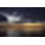 :iconnicollsotherlove: