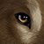 :iconnicoloff77: