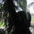 :iconnicor63: