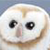 :iconnicoraven: