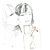 :iconnicotin3: