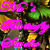 :iconnicsbutterflystudio: