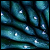 :iconnidacoma:
