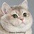:iconniecnotka: