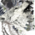 Niels393 :iconniels393: