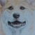 :iconnienke09: