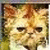 :iconnigel-man: