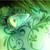 :iconnight-feba: