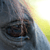 :iconNight-fish: