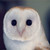 :iconnight-fog: