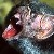 :iconnight-life-freaks: