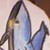 :iconnight-typhlosion: