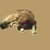 :iconnight-youkai13: