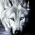 :iconnight976: