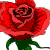 :iconnightangel01: