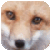 :iconNightchild269: