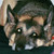 :iconnightclaw2000: