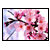 :iconnightcom: