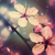 :iconnightengalehart: