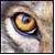 :iconnighteyes-wolf: