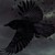 :iconnightfall013: