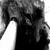:iconnightfallfairy: