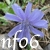 :iconnightflame06: