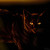 :iconnightfurr: