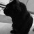 :iconnightfury1231: