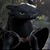 :iconnightfury2000: