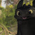 :iconnightfurydragon101: