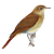 :iconnightingaleshadow: