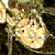 :iconnightjazz: