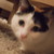 :iconnightlizard90: