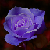 :iconnightmare-r-real7788: