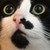 :iconnightmare-renter:
