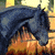 :iconNightmare-v: