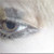 :iconnightmareanatomy: