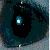 :iconnightmaremacmhuirich: